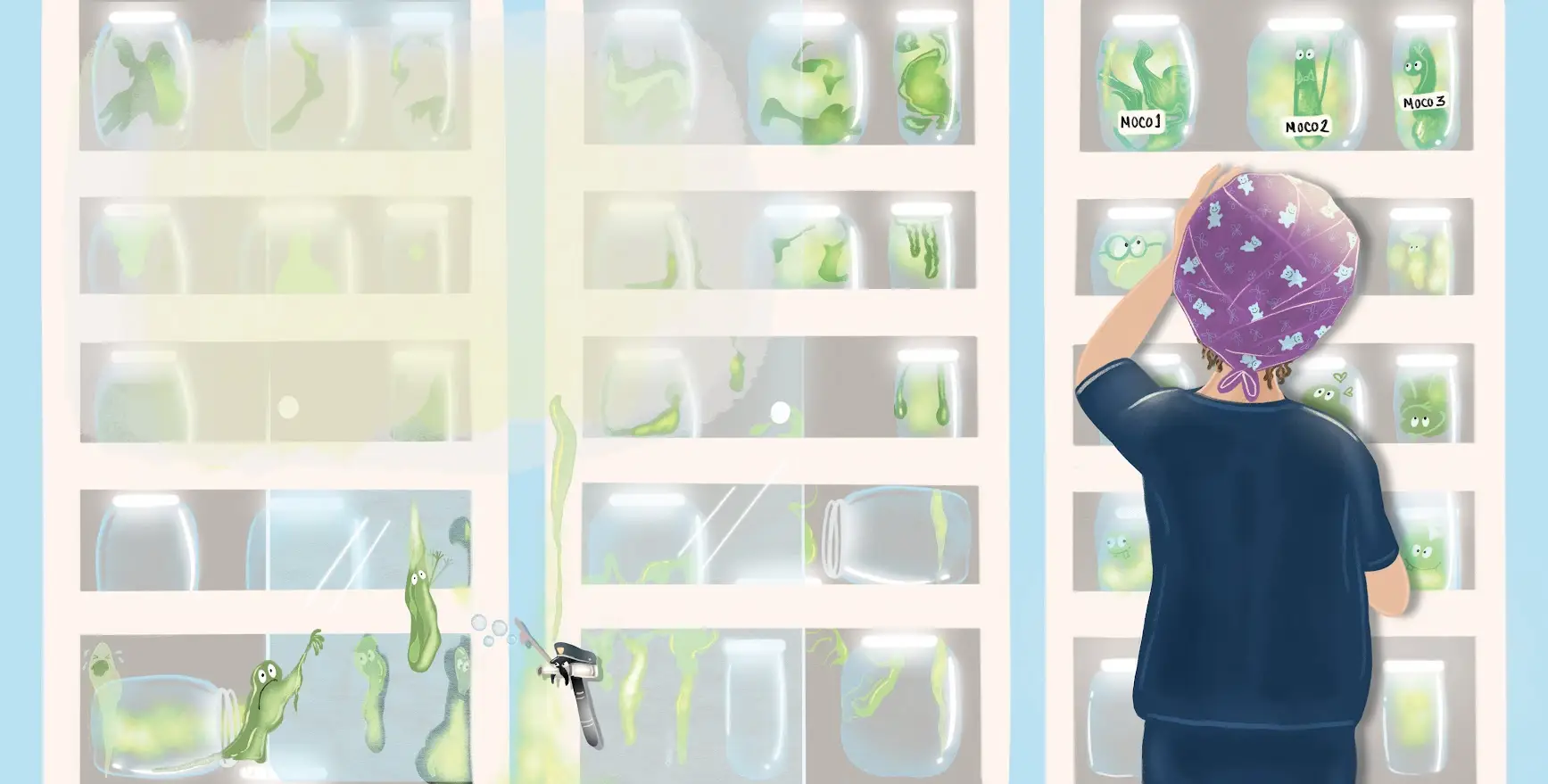 Cuento Lavados Nasales · Fisiobronquial · Blog · Biblioteca Mocos